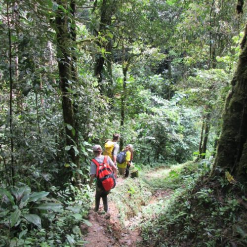 Hike to Mango Playa in Ahuano Ecuador: Catholic Missionaries Missions, Missionary, Company, Gospel, Jesus, Nations, Ad Gentes, Evangelization, Family, Families,