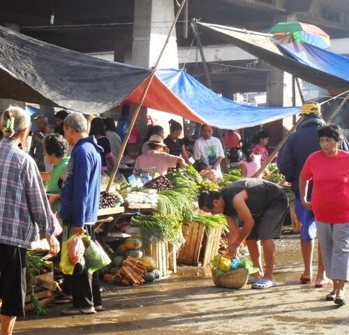Philippines-Missionaries-farm-products Philippines-Missionaries-farm-products