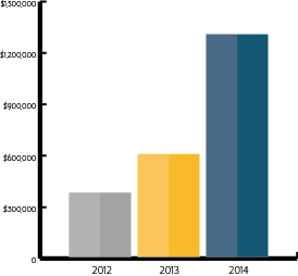 2014 Annual Revenue