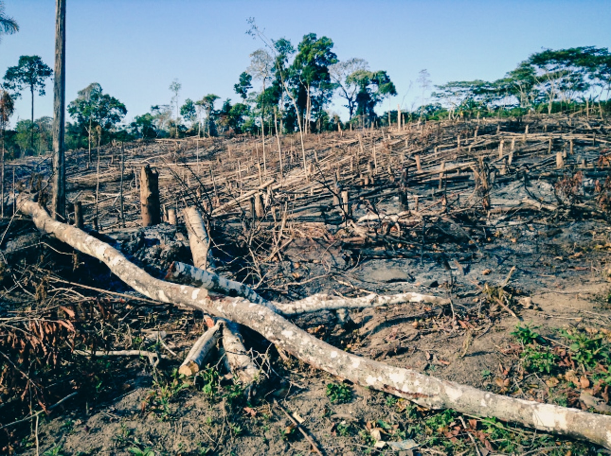 Effects of deforestation near Peru mission