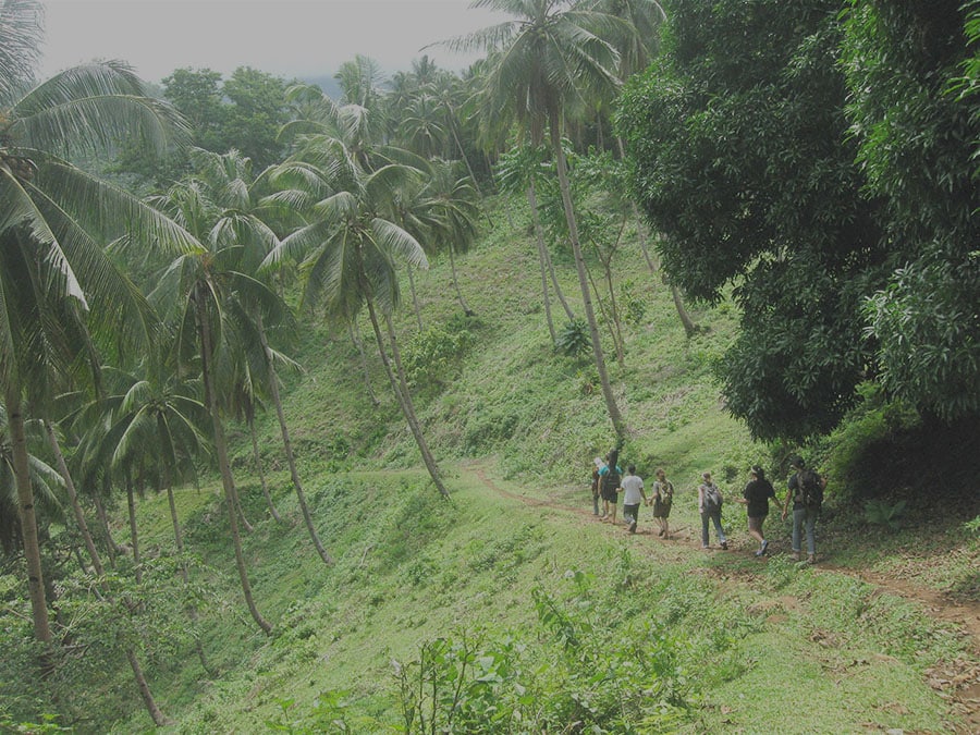 Summer School of Missionary Evangelization