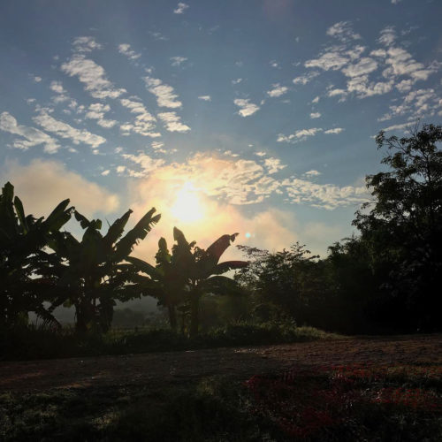 Pucacaca-sunrise3 Pucacaca-sunrise3