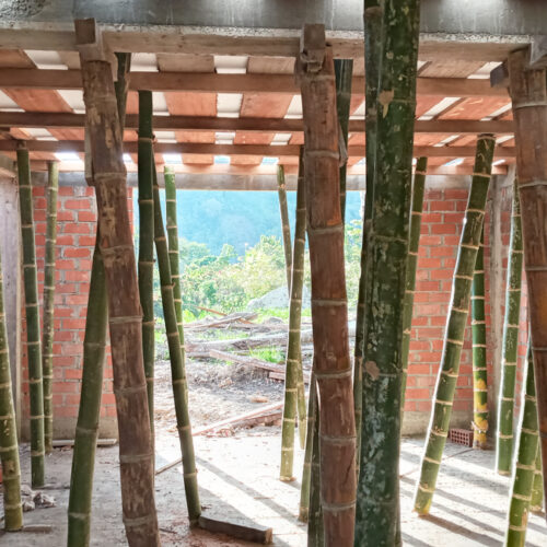 Bamboo supports Bamboo supports