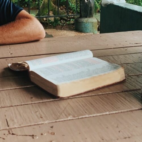 bible bible