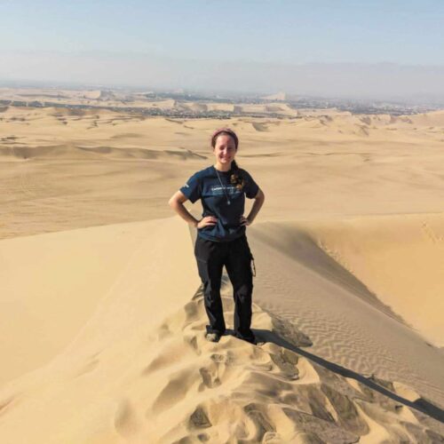 abiewer-desert abiewer-desert